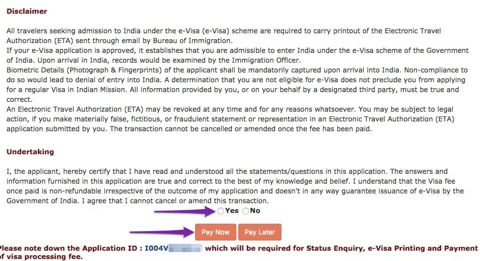 Indian e Visa disclaimer